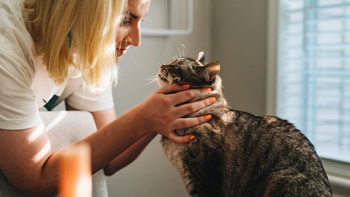 Veterinary Website Checklist for Pet Clinics
