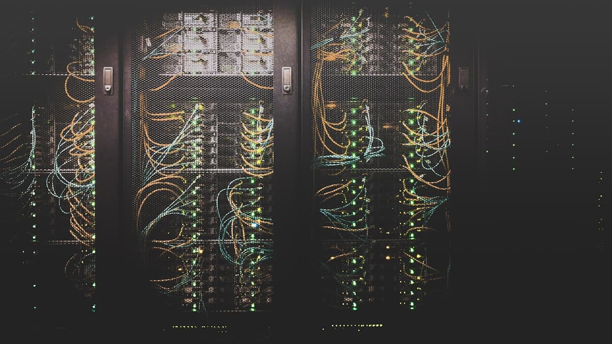 How Much Does Web Hosting Cost for a Small Business?
